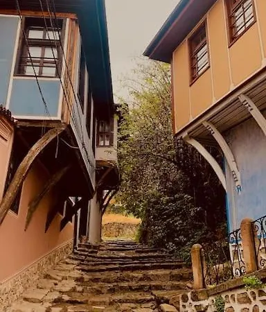 Villa Slona, Heritage In Old Town