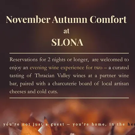 Slona, Heritage In Old Town