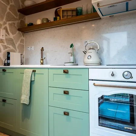 Vila Slona, Heritage In Old Town