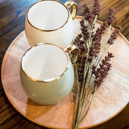 Vila Slona, Heritage In Old Town *