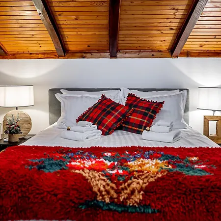 Slona, Heritage In Old Town Willa Płowdiw